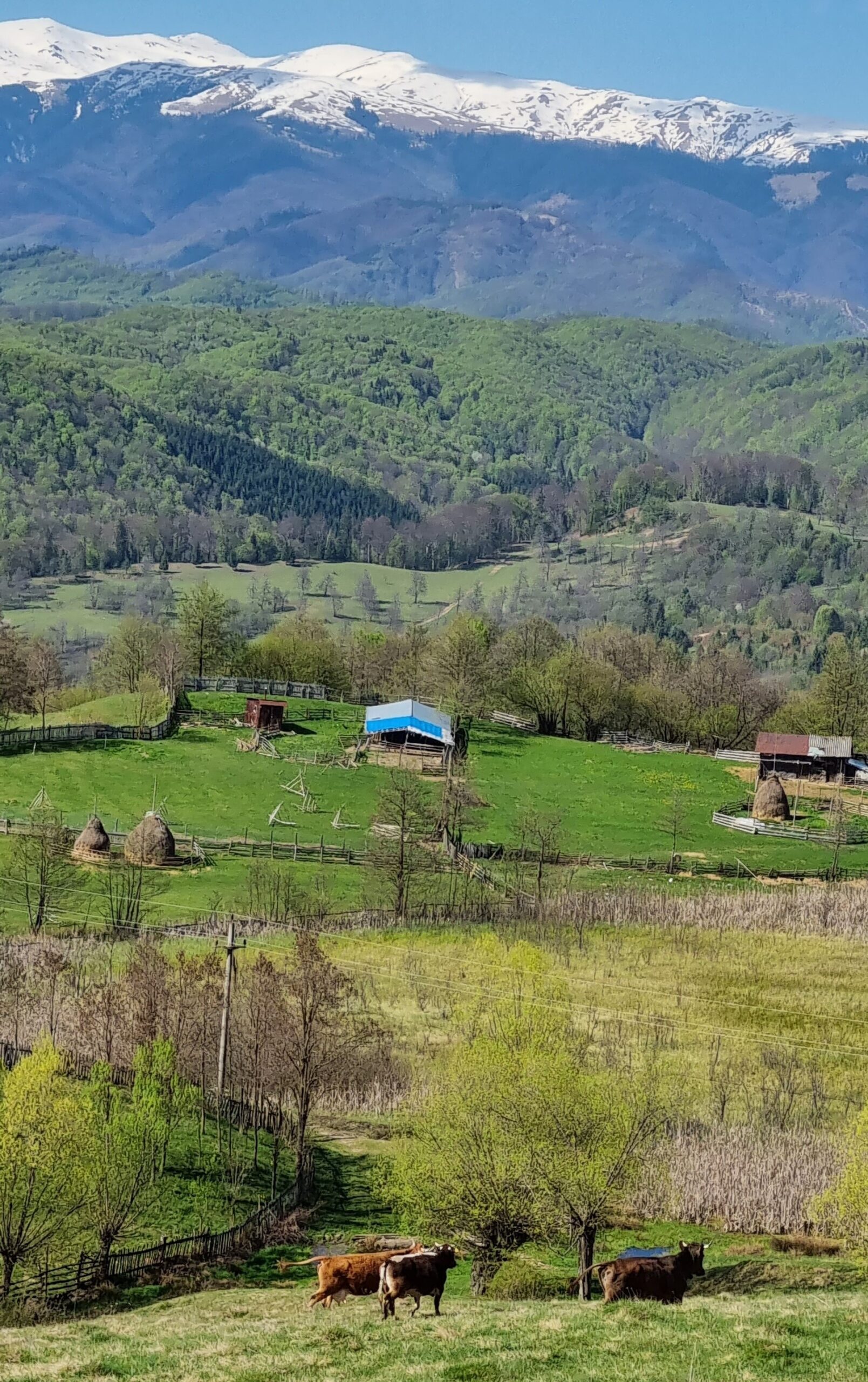 Layered landscape in conservation frontiers