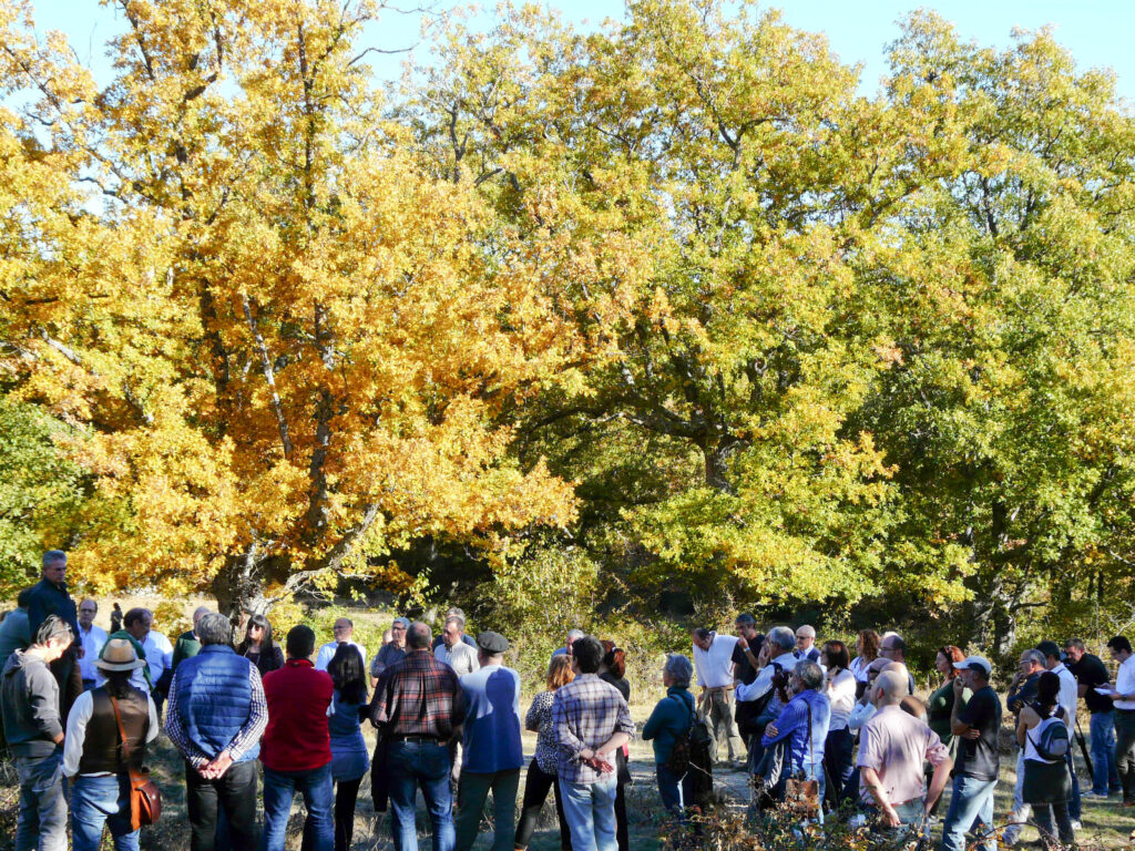 Recognizing European Commons in Conservation – A Talk by Sergio Couto Commoners in Spain